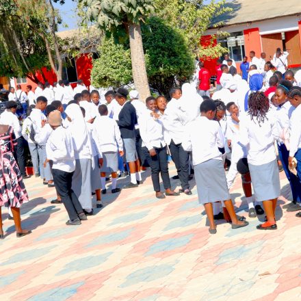 New Courses Added to the Curriculum